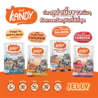 [แบบโหล,12ซอง] Kandy Cat Wet Food 70g. อาหารแมวแคนดี้ อาหารแมวชนิดเปียก ขนาดซองละ 70 กรัม มีให้เลือก 10 สูตร