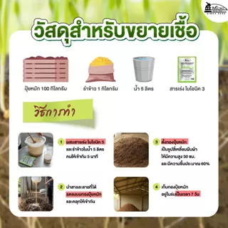 Bionic ไบโอนิค (พด.3) 100กรัม* สารเร่ง 3 สารเร่งทำเชื้อจุลินทรีย์ โรคราก โคนเน่า ไตรโคเดอร์ม่า