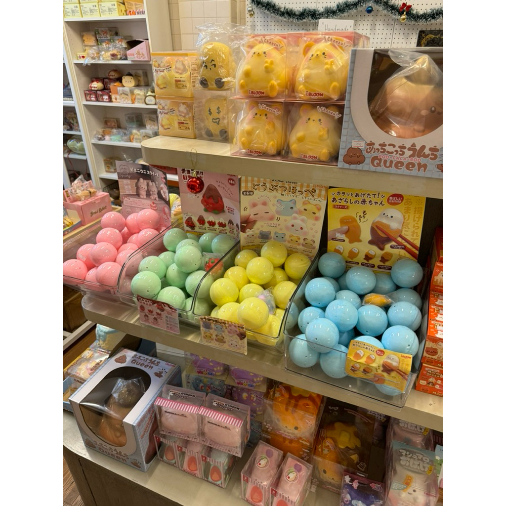 สกุชชี่ ibloom ไข่สุ่ม กาชาปองสกุชชี่ กล่องสุ่มสกุชชี่ ไอบลูม