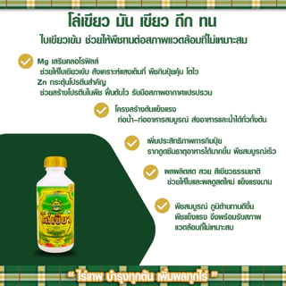 ชุดทดลองไร่เทพโกลด์ 2 ซอง เสริมดอก ออกผลไว ทนฝน-แล้ง เพิ่มผลผลิต+โล่เขียว มัน เขียว ถึก ทน 250 ml.