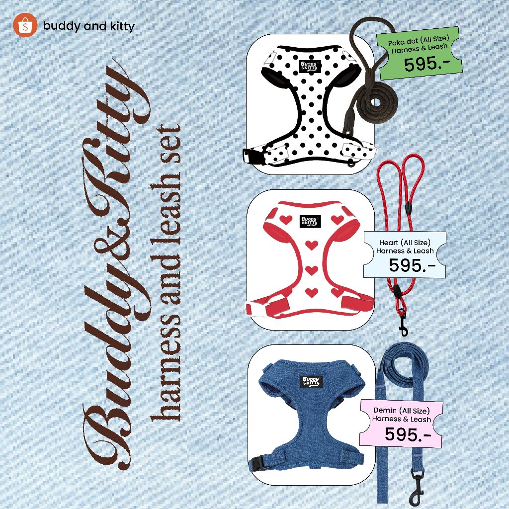 Buddy and Kitty ที่รัดอก+สายจูง Harness Leash สำหรับน้องหมา สุนัข แมว สายจูงสัตว์เลี้ยง น้ำหนักเบา ความยาวพอดี