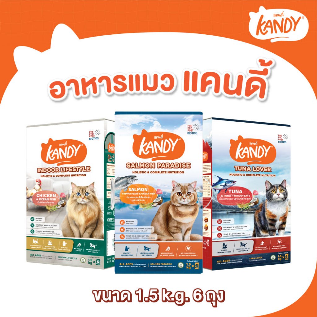 (ยกลัง) Kandy อาหารแมวแคนดี้ ขนาด 1.5 Kg. 6 ถุง บำรุงขนและผิวหนัง ไม่มีส่วนผสมของข้าวโพด ไม่มีกลูเตน สำหรับแมวทุกช่วงวัย