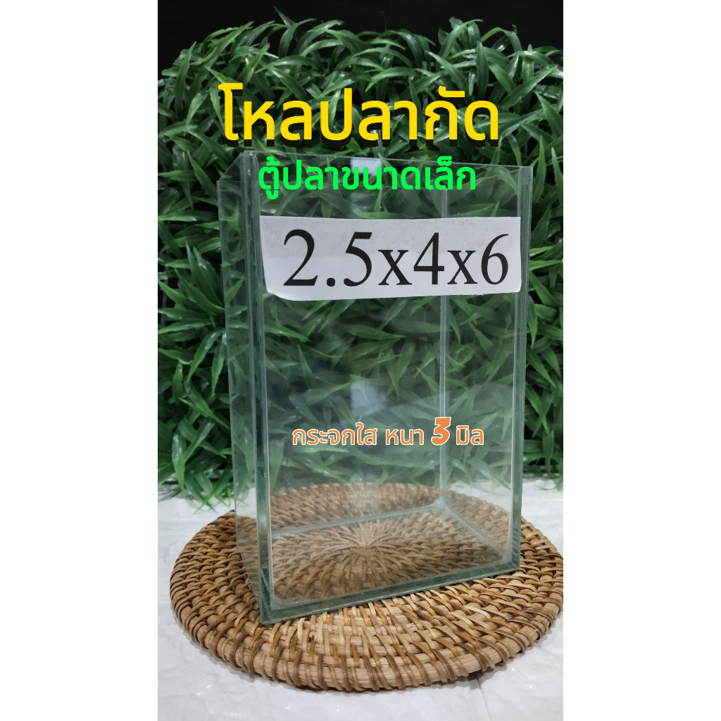โหลปลากัดขนาด 2.5x4x6 นิ้ว กระจกหนา 3 มิล มีกาวใสและกาวดำ สำหรับเลี้ยงปลาสวยงามและสัตว์เล็ก