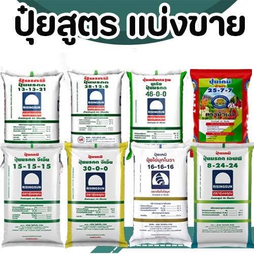 ปุ๋ยสูตร  46-0-0 ,15-15-15 ,16-16-16 ,13-13-21 ,25-7-7 ,8-24-24 , 28-12-8 ,30-0-0 แบ่งขาย