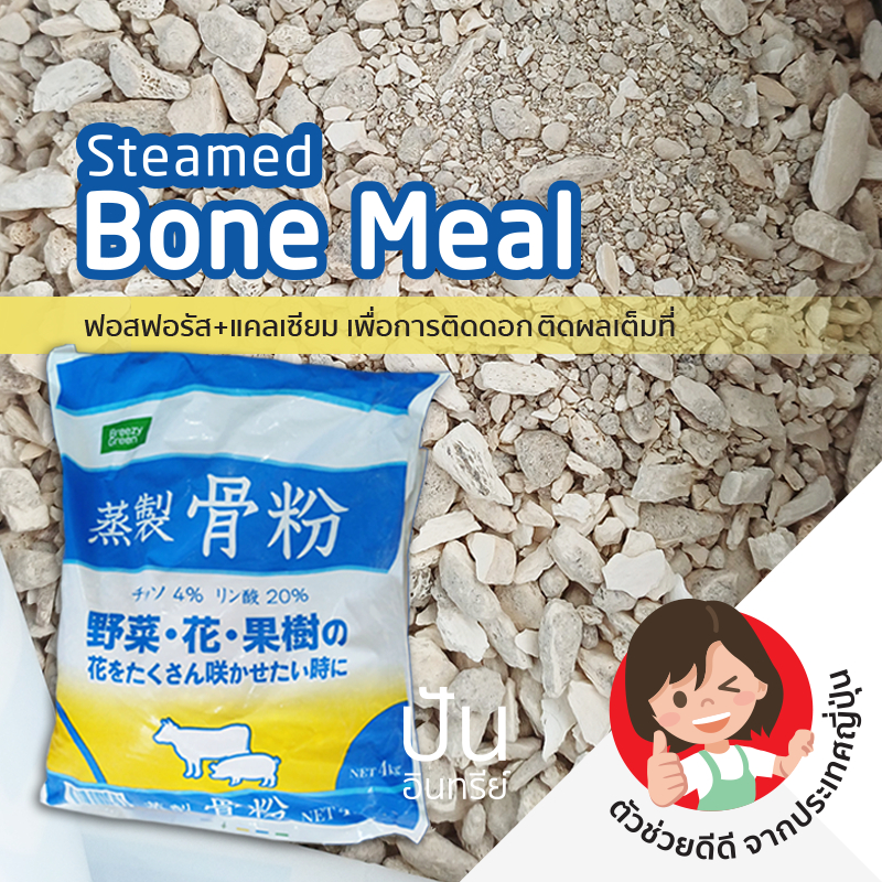 แบ่งขาย 🇯🇵 กระดูกป่น Bone Meal อุดมด้วยฟอสฟอรัส+แคลเซียม บำรุงพืชผัก ดอกไม้ ไม้ผล ปันอินทรีย์