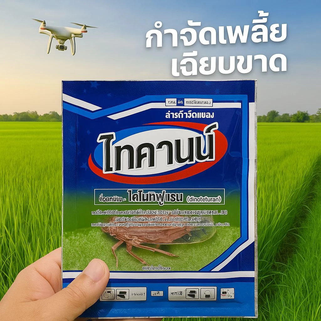 ไทคานน์ 100กรัม (สารไดโนทีฟูแรน) กำจัดเพลี้ยกระโดด เพลี้ยจักจั่น เพลี้ยไฟ เพลี้ยแป้ง แมลงหวี่ขาว เพลี้ยไก่แจ้ เพลี้ยอ่อน