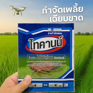 ไทคานน์ 100กรัม (สารไดโนทีฟูแรน) กำจัดเพลี้ยกระโดด เพลี้ยจักจั่น เพลี้ยไฟ เพลี้ยแป้ง แมลงหวี่ขาว เพลี้ยไก่แจ้ เพลี้ยอ่อน