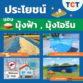 🍚 TCT มุ้งฟ้า (ตะกร้ารวมผ้าลานตากข้าว) มุ้งโอรีน ตาข่ายกันแมลง ผ้าแยงเขียว 🌾16,20ตา แข็งแรง ทนทาน