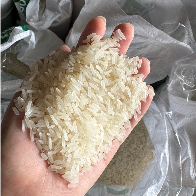 [ 12 kg ] ข้าวหอมมะลิ100% ตราไร่ชาวนา ขายโดยชาวนา ข้าวใหม่ หอมละมุน นุ่มอร่อย รูปที่ 2