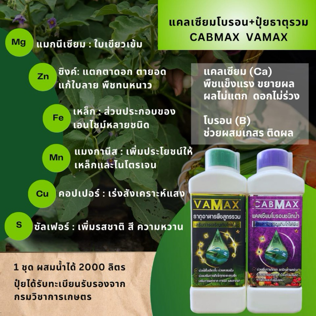 [1แถม1] CabMax+VaMax แคลเซียมโบรอนเข้มข้ม แถม ปุ๋ยธาตุรวม - รูปที่ 2