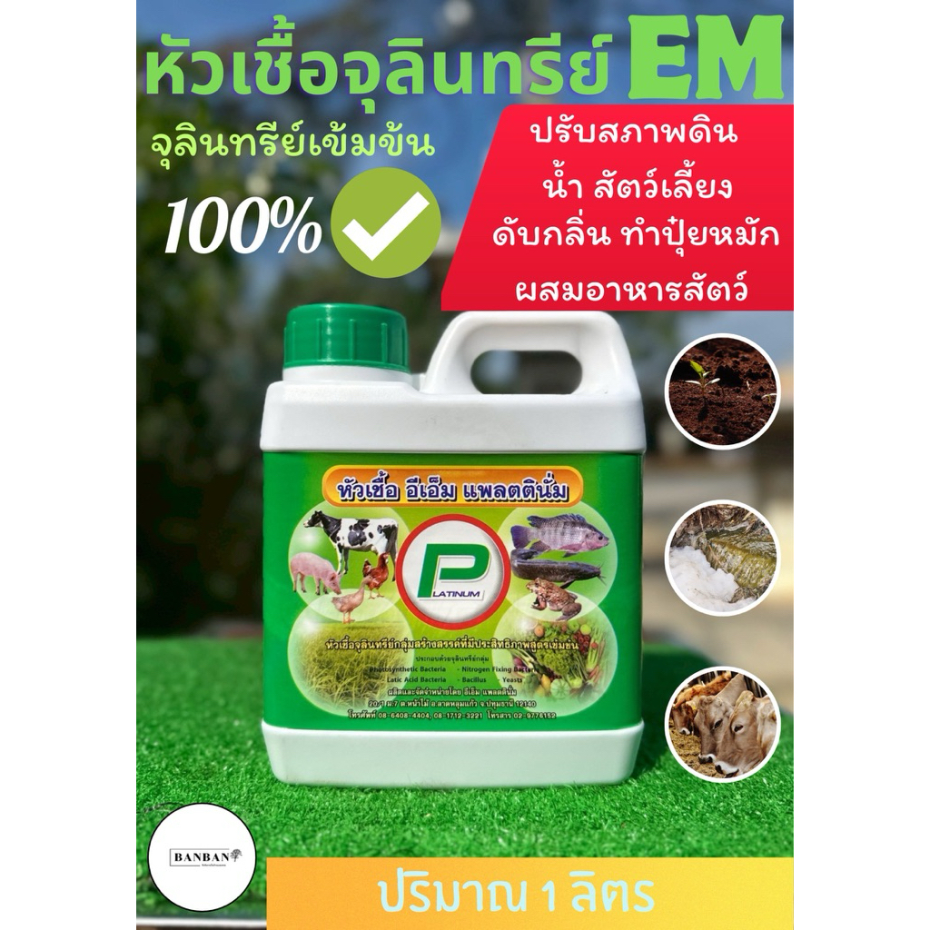 หัวเชื้อ EM แพลตตินั่ม (PLATINUM) สำหรับดับกลิ่น / บำบัดน้ำ / บำรุงดิน/ดับกลิ่นฟาร์ม, ลดกลิ่นคอกสัตว์