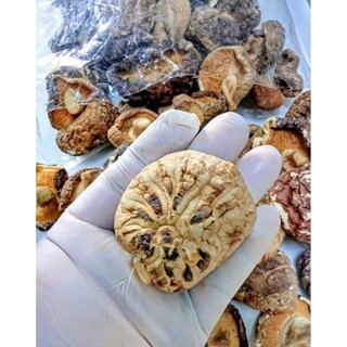 เห็ดหอมตากแห้งไซส์ใหญ่ 🍄( คัดเกรดพรีเมียม)เนื้อหนา หอม อร่อย…