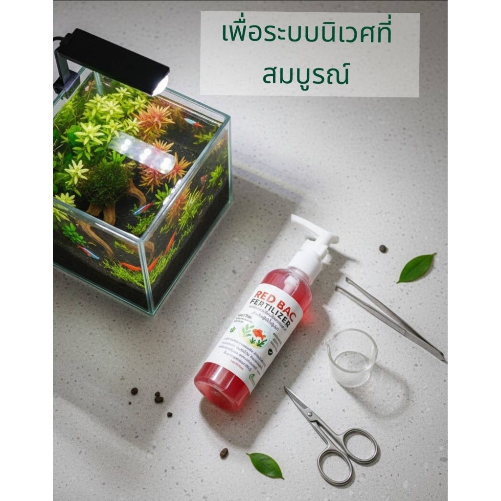 PSB RED BAC บำบัดน้ำพร้อมบำรุงต้นไม้น้ำในต้ว