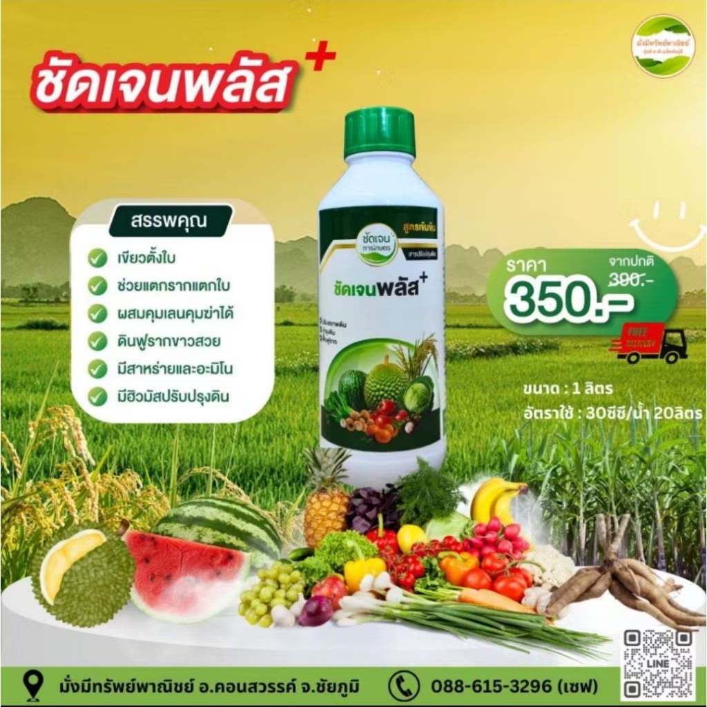 🌿 ชัดเจนพลัส+ 🌿 อะมิโน+ฮิวมิคฟลูวิค+สาหร่ายและ บี1 เร่งราก สูตรเข้มข้น  ขนาด 1ลิตรใช้ได้15- 20 ไร่