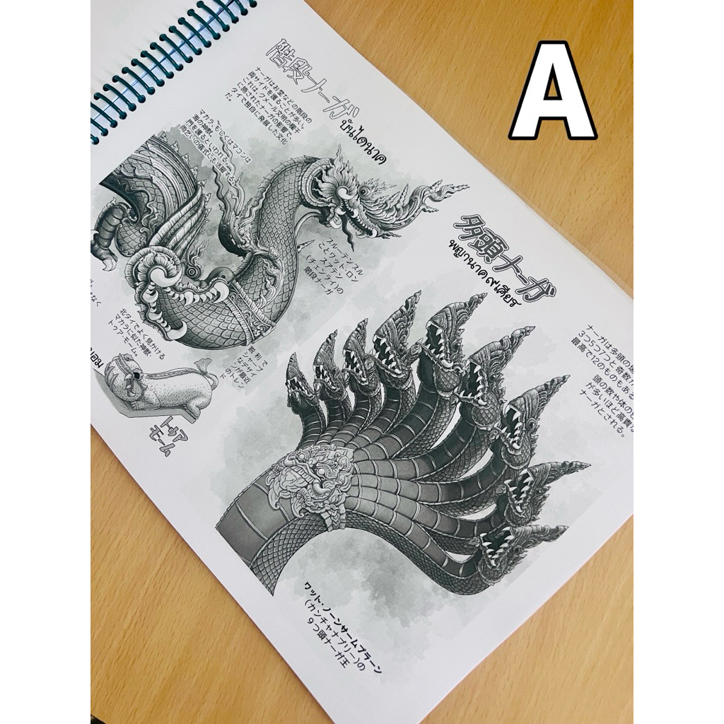 หนังสือวาดโดยนักเขียนญี่ปุ่น มีให้เลือก A และ B