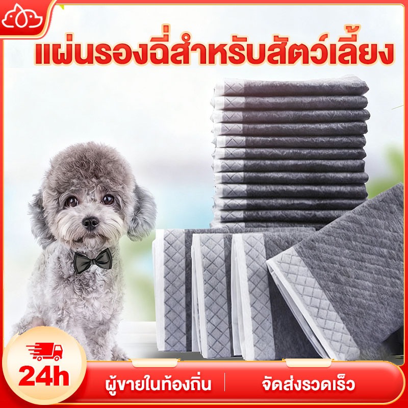 แผ่นรองฉี่สุนัข รุ่นชาโคล แผ่นรองฉี่ชาโคล แผ่นรองฉี่แมว ช่วยฝึกขับถ่าย การดูดซับน้ำ6ชั้น ระงับกลิ่นได้ดี Pee Pad