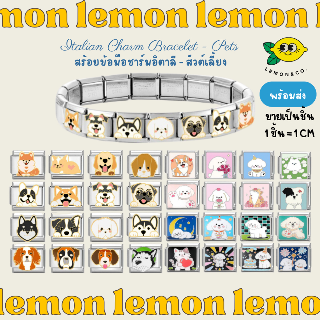 [[ส่งไว]] Italian Charm Bracelet สร้อยข้อมือ ชาร์มอิตาลี DIY สร้อยถอดออกได้ สร้อยข้อมือสแตนเลส