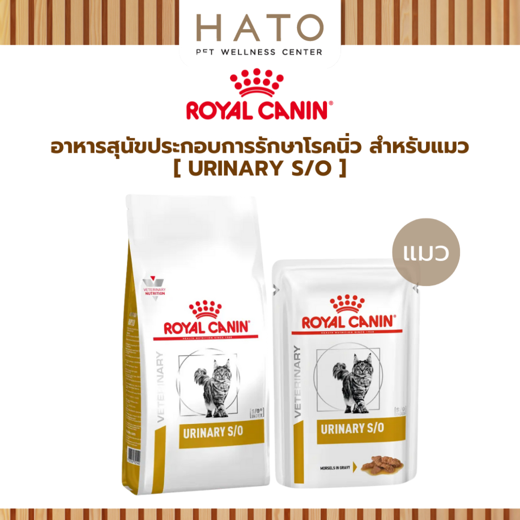 Royal Canin (URINARY S/O) อาหารแมวประกอบการรักษาโรคนิ่ว ชนิดเม็ด , ชนิดเปียก