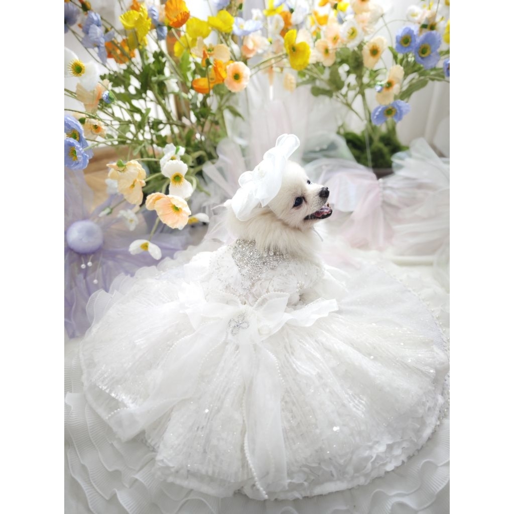 Fairy Tail Couture | ชุดแต่งงานหมาแมว ชุดเดรส