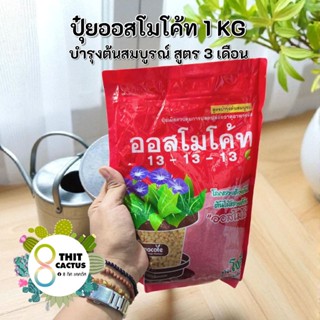 // ออสโมโค้ท 13-13-13 = 1 กิโลกรัม // บำรุงต้นสมบูรณ์ ปุ๋ยเม…
