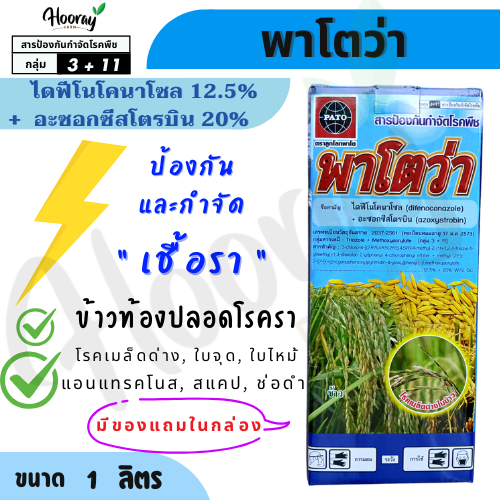 พาโตว่า 1 ลิตร ( ไดฟีโนโคนาโซล+อะซอกซีสโตรบิน ) กำจัดเชื้อรา เมล็ดด่าง ใบจุด ใบไหม้ ใบติด สแคป