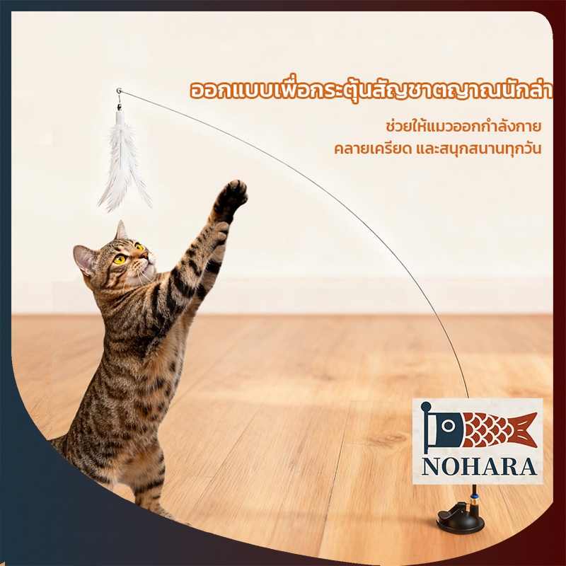 ไม้ตกแมวแบบดูดพื้นได้ พร้อมฐานดูดยึดแน่น ขนนกธรรมชาติ เสริมพัฒนาการแมว