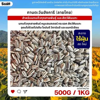 ทานตะวันฮังการี (ลายไทย) เกรดA เม็ดเล็ก อาหารนกแก้ว และสัตว์ฟันแทะ (แบ่งขาย 500G / 1KG)