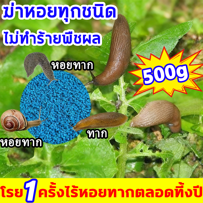 🐌1 ถุงฆ่า10000หอยทาก ยาฆ่าหอยทาก 500g ยาฆ่าหอย หอยศัตรูพืชทุกชนิด ฆ่าหอยทาก ดึงดูดและฆ่าหอยได้อย่างมีประสิทธิภาพ ยาหอย