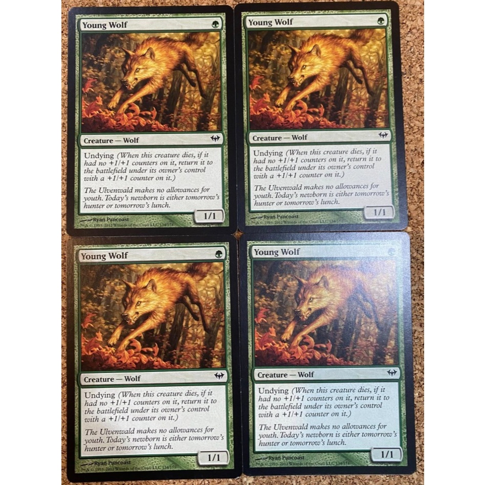 MtG Single Card: 4x Young Wolf (playset)