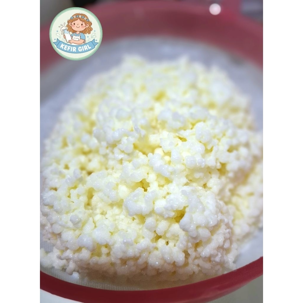 Milk Kefir Grains เม็ดคีเฟอร์นม , 1 tea spoon