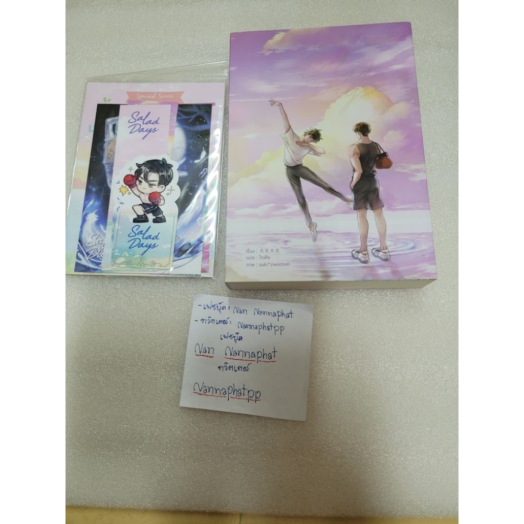 Salad days สู่ฝันของสองเราฉบับนิยาย