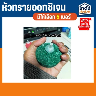 หัวทราย หัวออกซิเจน เพิ่มออกซิเจนในตู้ปลา (1 ลูก)