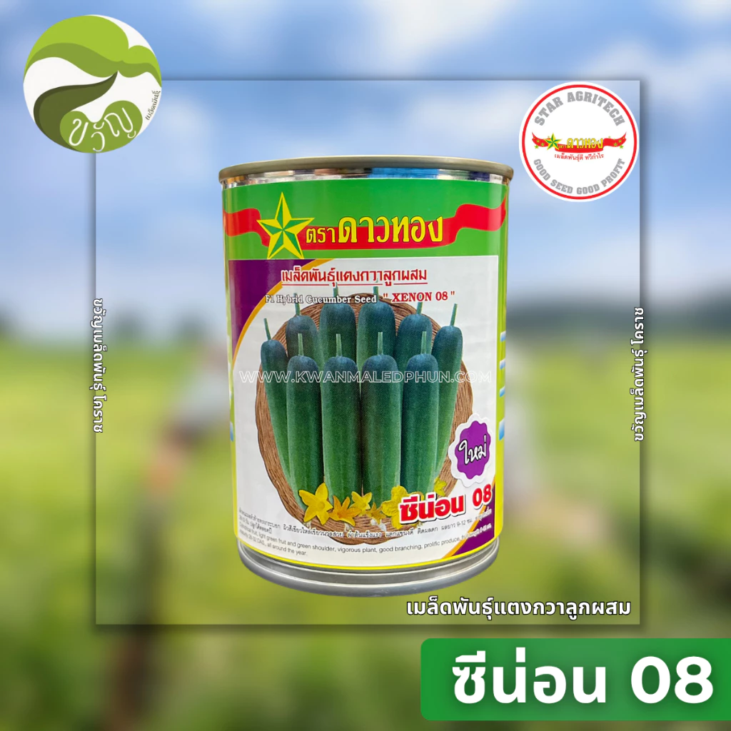 ซีน่อน 08 ใหม่ แตงกวาลูกผสม แตงกวา ตราดาวทอง ลอตใหม่ล่าสุด