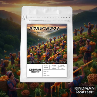 เมล็ดกาแฟ ดอยสวนยาหลวง Washed Process Premium Arabica 100% by KINDMAN Roaster