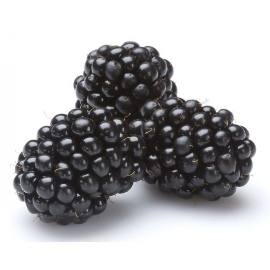 Blackberry แบล็กเบอร์รี่สด 🍇 #แบล็กเบอร์รี่สด #Blackberry
