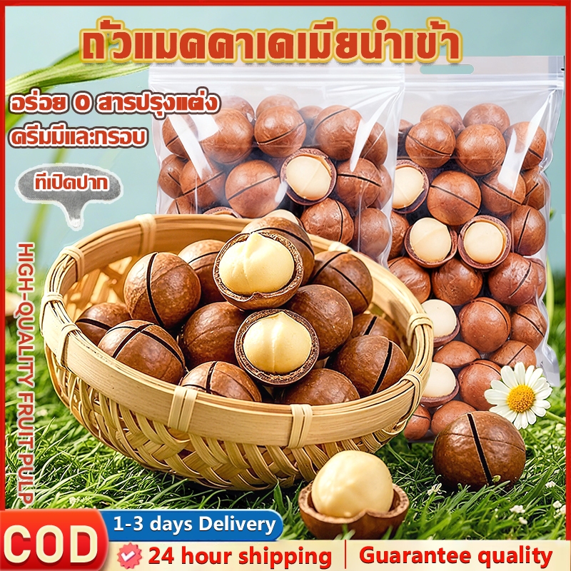 แมคคาเดเมีย 200g 500g 1000g เม็ดใหญ่ เต็มเปี่ยมด้วยสุขภาพ อร่อยและมีประโยชน์ เกรดพรีเมี่ยม เม็ดใหญ่ เปลือกบาง เนื้อเยอะ