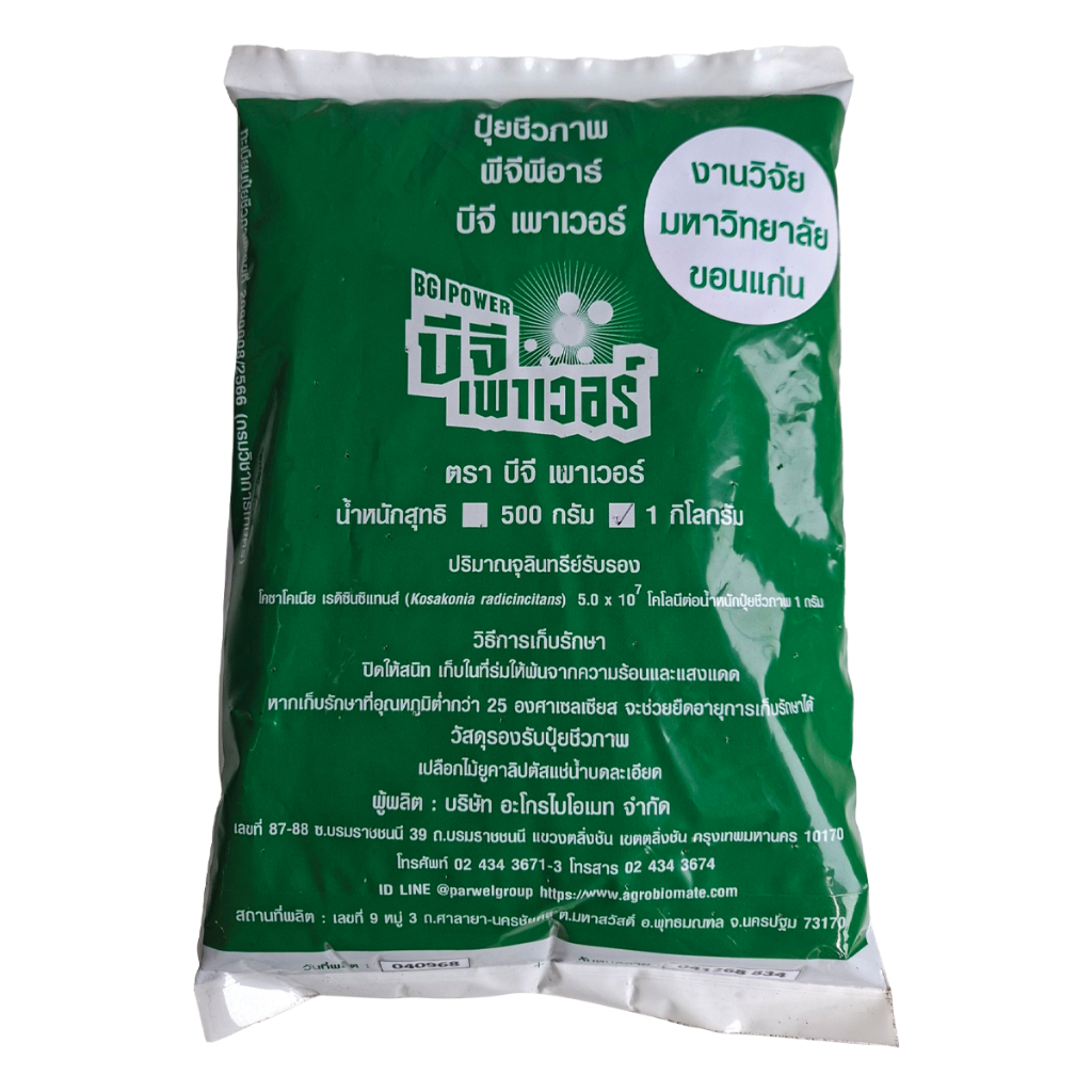 ปุ๋ยชีวภาพPGPR สำหรับนาข้าว บรรจุ 500 กรัม/1 กิโล พืชไร่ ผักสวนครัว ตรึงไนโตรเจนให้พืช ตรา BG Power