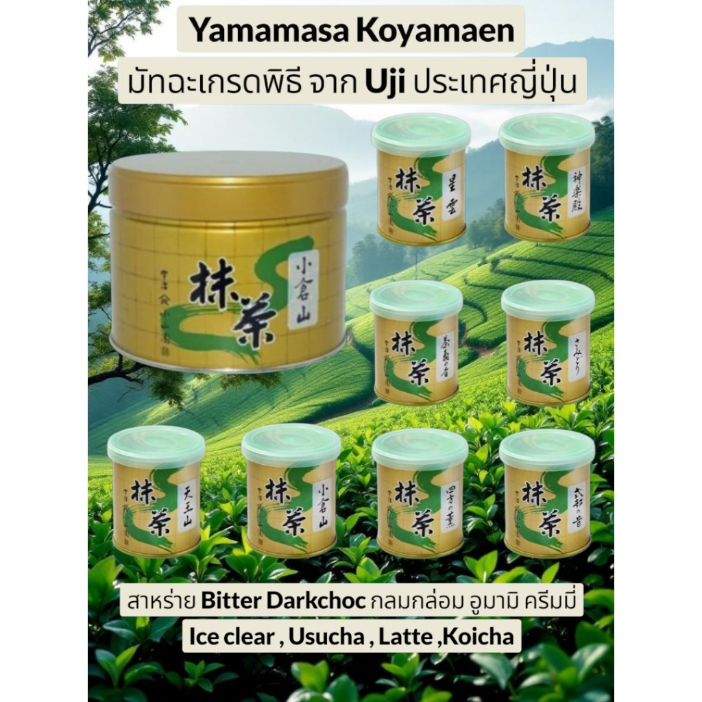 [มัทฉะพร้อมส่งในไทย] Yamamasa มัทฉะตัวดังจาก Uji อูมามิ กลมกล่อม สายมัทฉะ Uji ห้ามพลาด +++