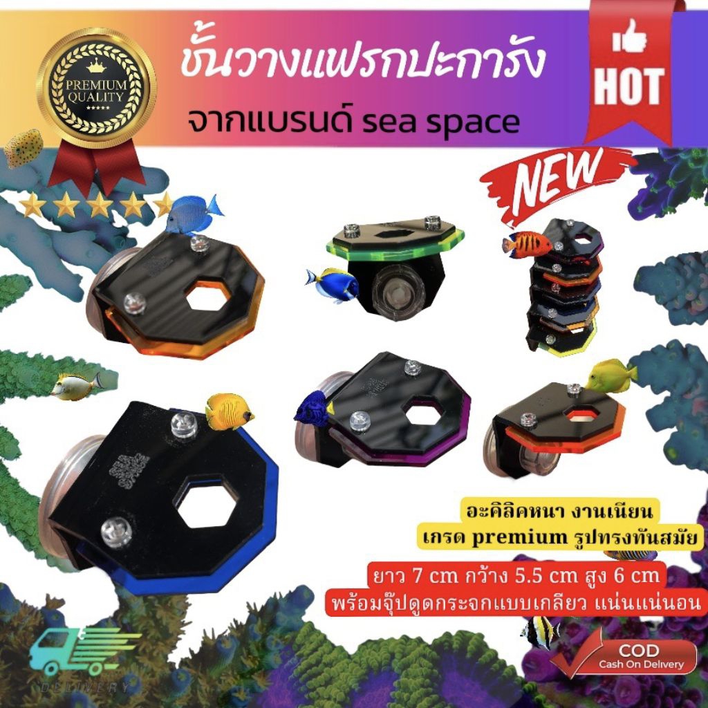 ชั้นวางปะการัง ชั้นวางแฟรก ติดกระจกตู้ปลา Sea Space      (เล็ก1ช่อง)