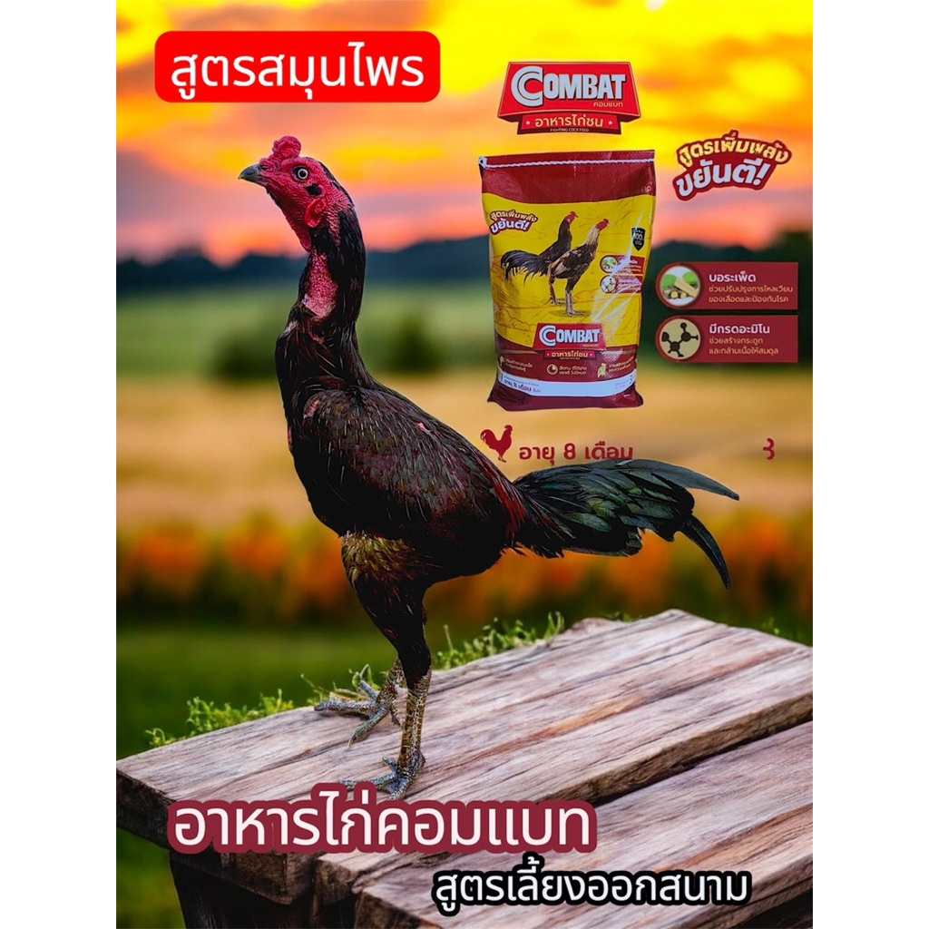 อาหารไก่ชนคอมแบทสูตรสมุนไพรไทย💪🏻ถุงละ3กิโล