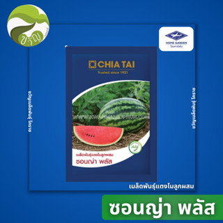 เมล็ดพันธุ์ แตงโมลูกผสม แตงโม ซอนญ่า พลัส 40 กรัม ลอตใหม่