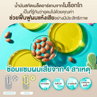 MOROCCAN BEAUTY DEEP MOIST SHAMPOO & TREATMENT TRIAL โมร็อกแคน บิวตี้ ดีพ มอยส์ แชมพู แอนด์ ทรีตเมนต์ ไทรเอิล