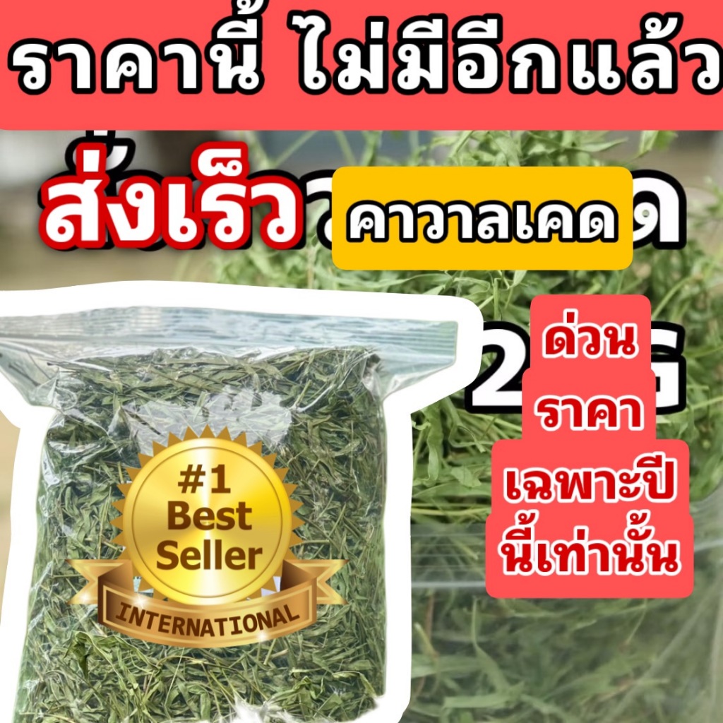 best 1st 5-15kg ถูกที่สุดในชอปปี้ ถั่วคาวาลเคด สำหรับกระต่าย หนู