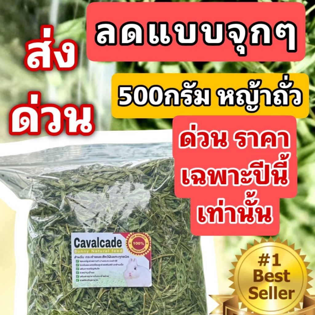 ถูกสุดๆ ถั่วคาวาลเคดสำหรับกระต่าย 200g-1KG ของเข้าใหม่ หอมๆ เขียวๆ