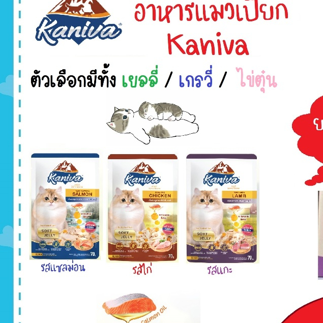🐱(ยกลัง 48 ซอง) Kaniva อาหารเปียกคานิว่า เหมาะสำหรับลูกแมวและแมวโต ขนาด 70 กรัม 🐱