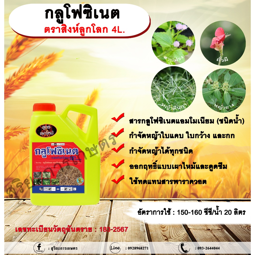 กลูโฟซิเนต  ตราสิงห์ลูกโลก 4L. กลูโฟซิเนตแอมโมเนียม สารกำจัดวัชพืช กำจัดหญ้าใบแคบ ใบกว้าง กก หญ้าทุกชนิด ออกฤทธิ์แบบเผาไ