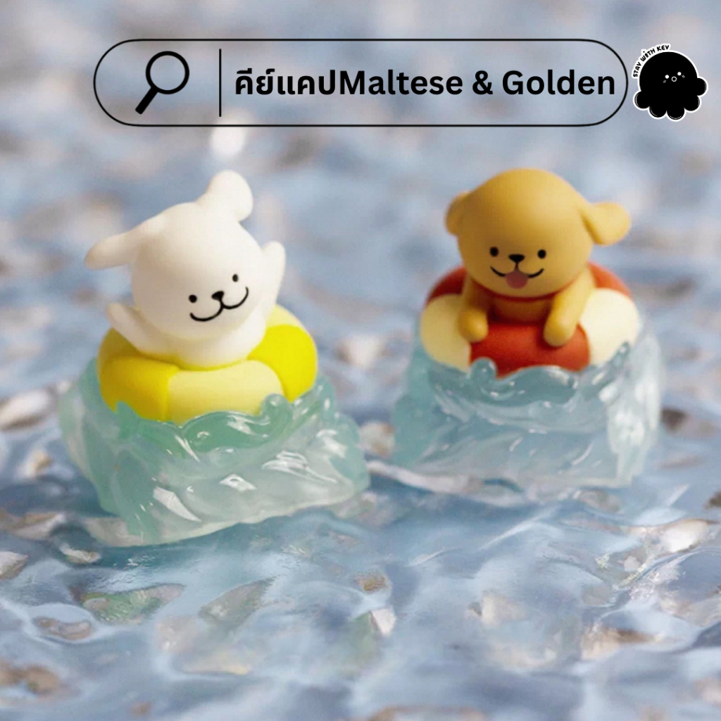 คีย์แคป Maltese&Golden พร้อมส่ง