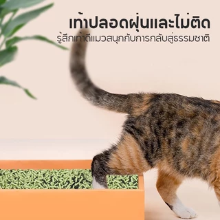 ครอกแมวระงับกลิ่นกาย 250ml แมวปัสสาวะระงับกลิ่นกายแท็บเล็ตกลิ่นหอมติดทนนานลูกปัดระงับกลิ่นกาย