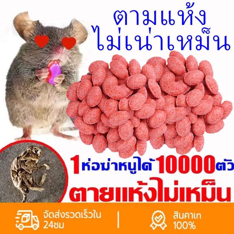 ยาเบื่อหนูแห้ง! เหยื่อกำจัดหนู ตายแห้ง แบบ 70-80 เม็ด ยาเบื่อหนูตายแห้ง (ผสมธัญพืชที่หนูชอบอัดแน่นเต็มเม็ด)
