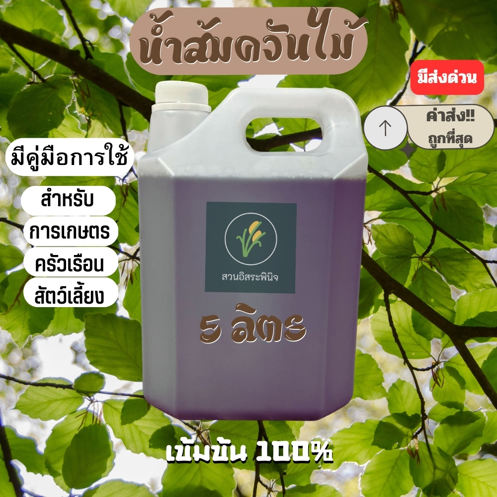 น้ำส้มควันไม้ 5 ลิตร พร้อมคู่มือ ไล่แมลงศัตรูพืช เห็บ เชื้อรา ดับกลิ่น (ส่งทันที)